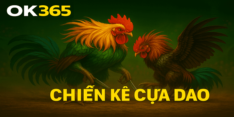 Chiến Kê Cựa Dao Nổi Dậy Cuốn Hút Cược Thủ